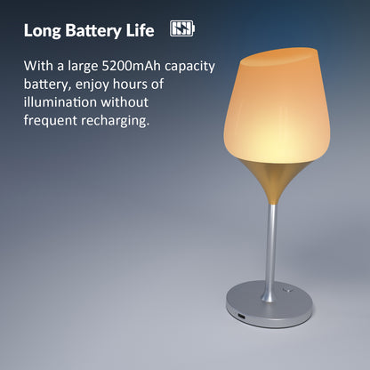 Rechargeable Cordless Table Lamp